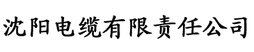 精品国产亚洲av麻豆电缆厂logo